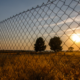 Prevention of Trafficking in Human Beings in Lithuania (2024)