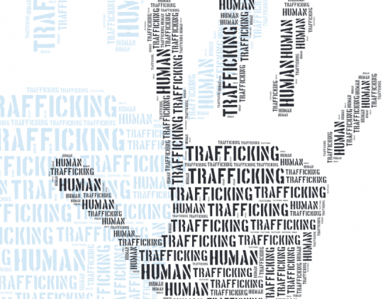 Identification of victims of trafficking in human beings in international protection and forced return procedures: EMN Inform 2014 (EN)