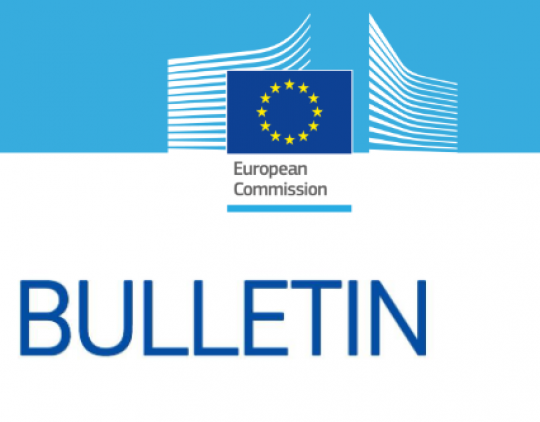 EMN Bulletin: June - October 2013 (EN)