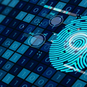 Digitalisation of identity documents and residence permits - EMN Inform 2024 (EN)